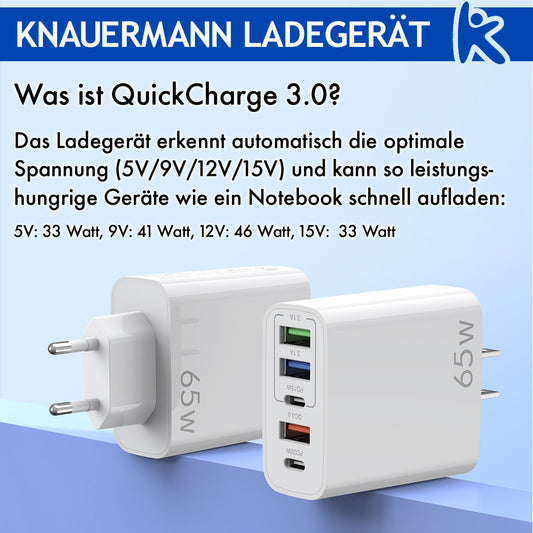 Knauermann LADEGERÄT (2024)