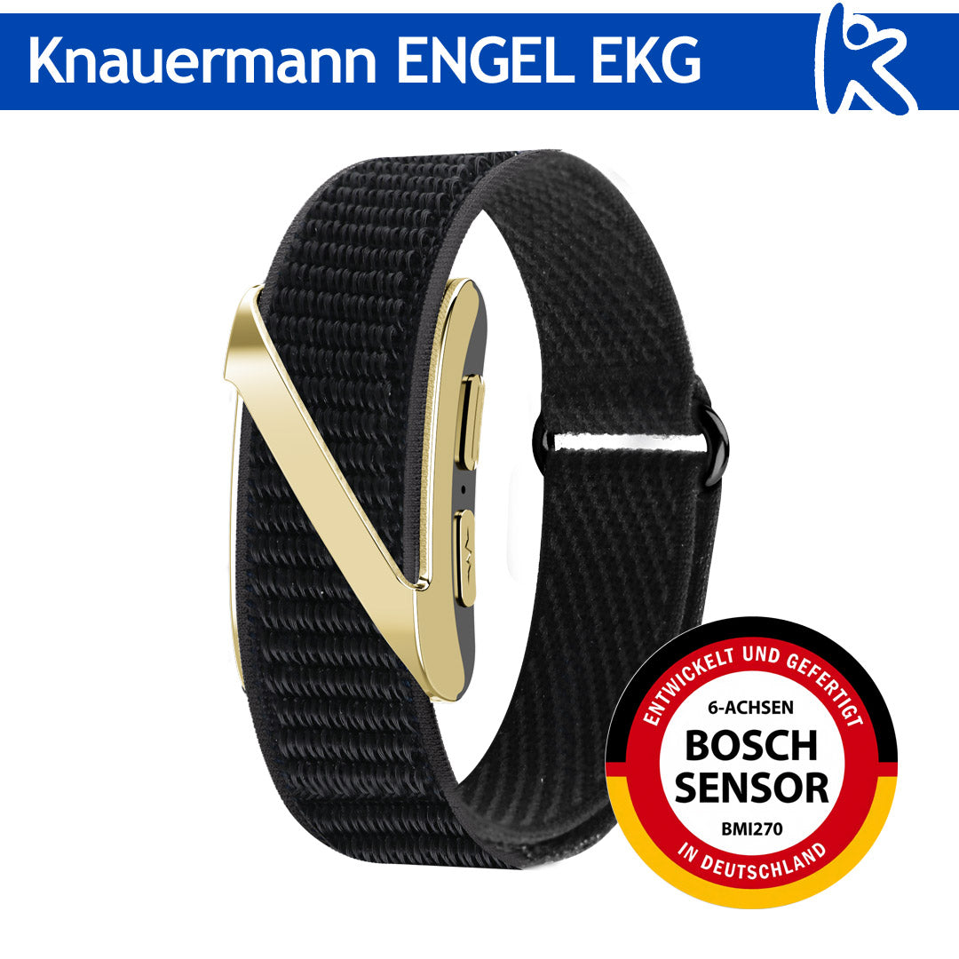 Knauermann ENGEL (2027)