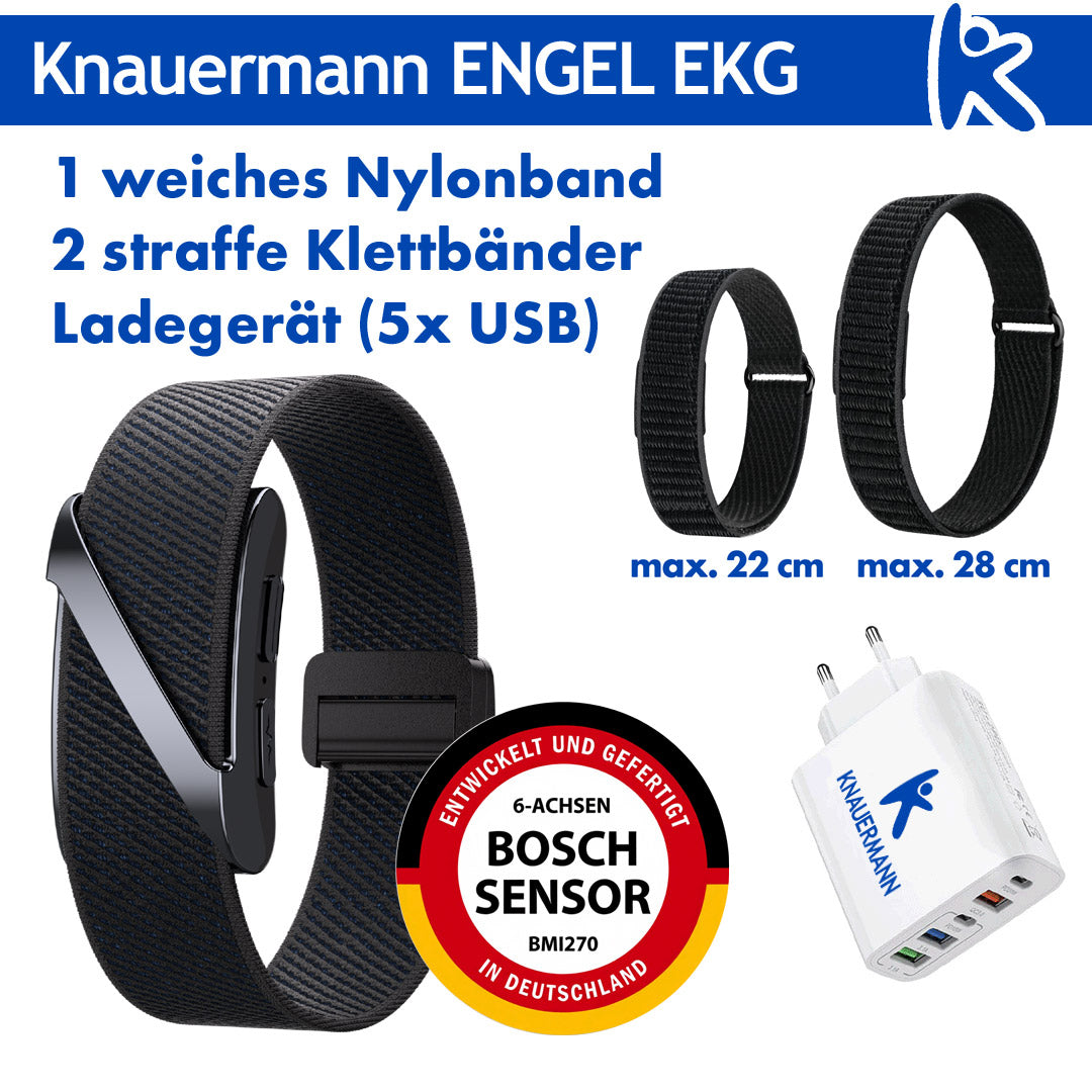 Knauermann ENGEL (2027)