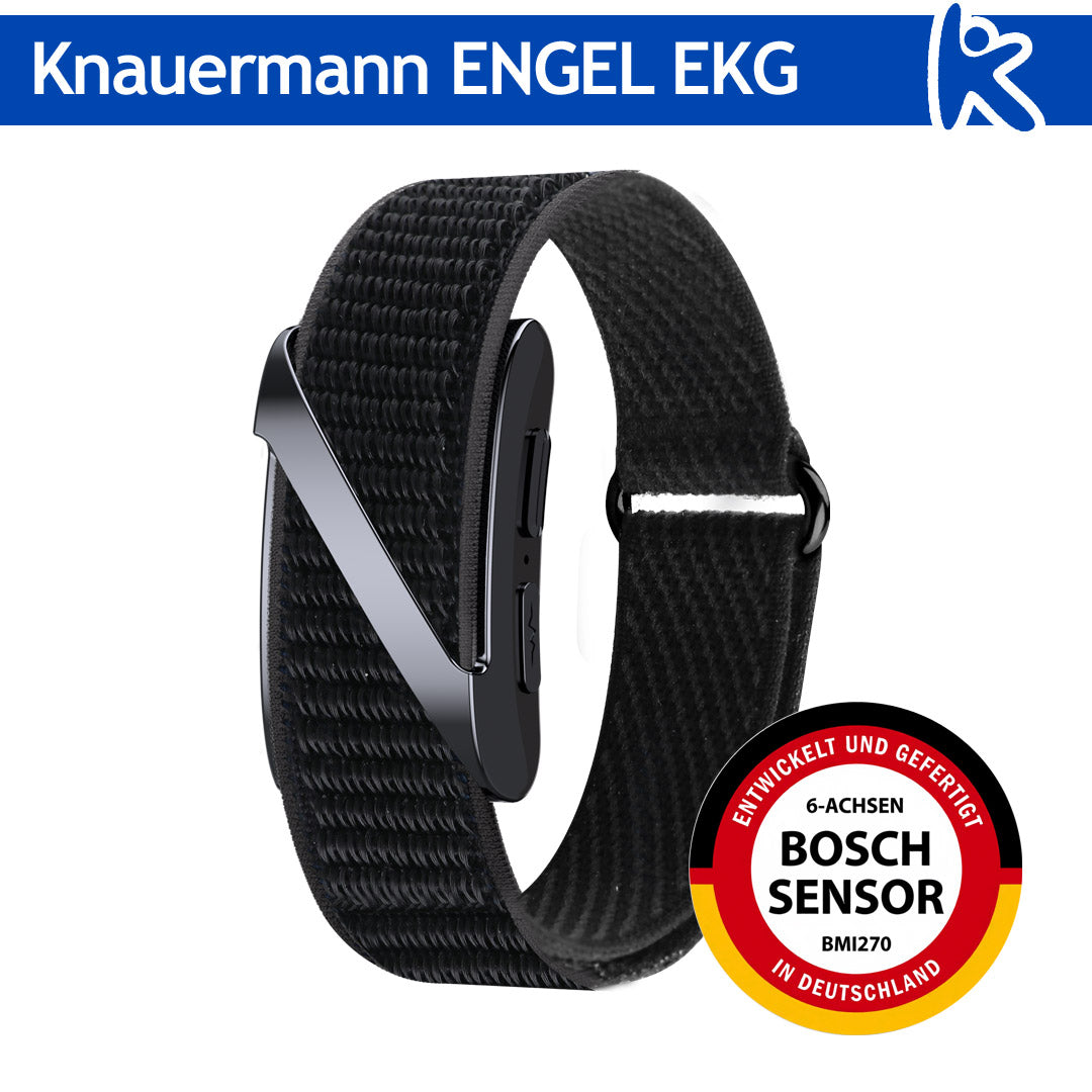 Knauermann ENGEL (2027)