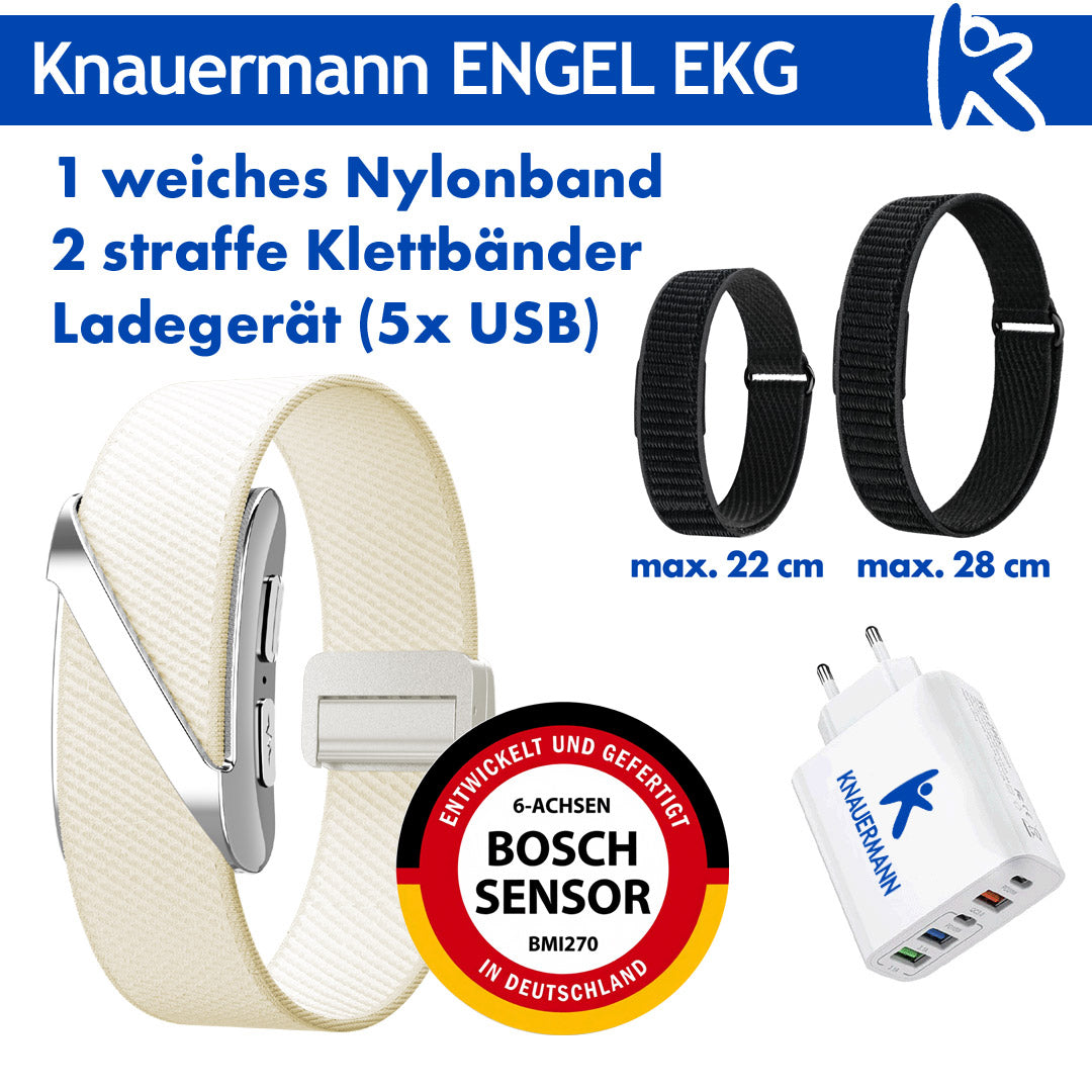 Knauermann ENGEL (2027)