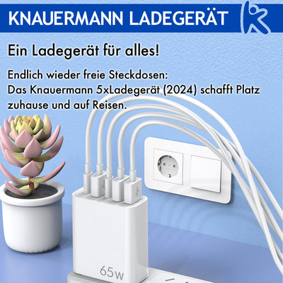 Knauermann LADEGERÄT (2024)